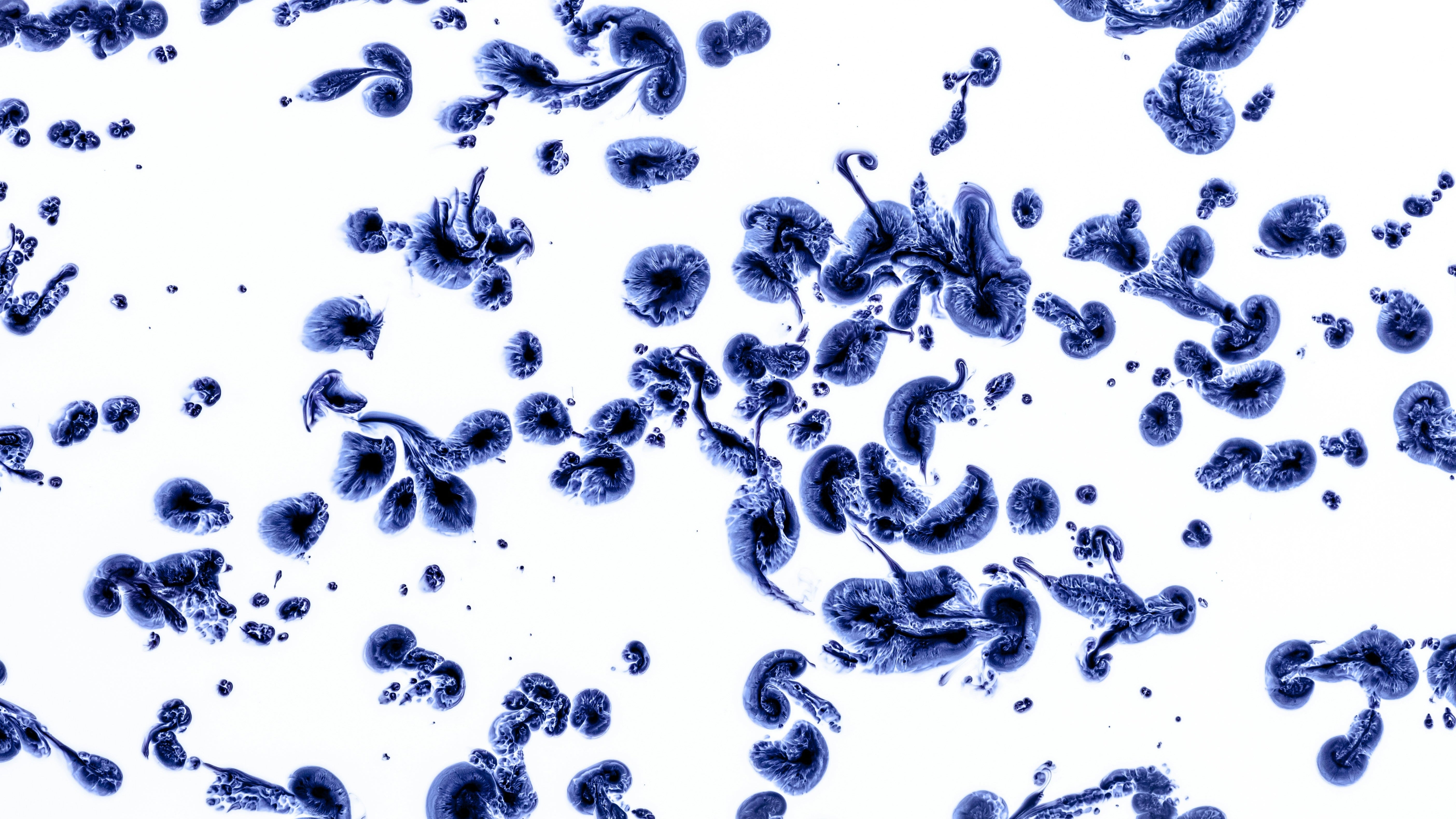 Cómo mantener el microbioma de tu piel sano