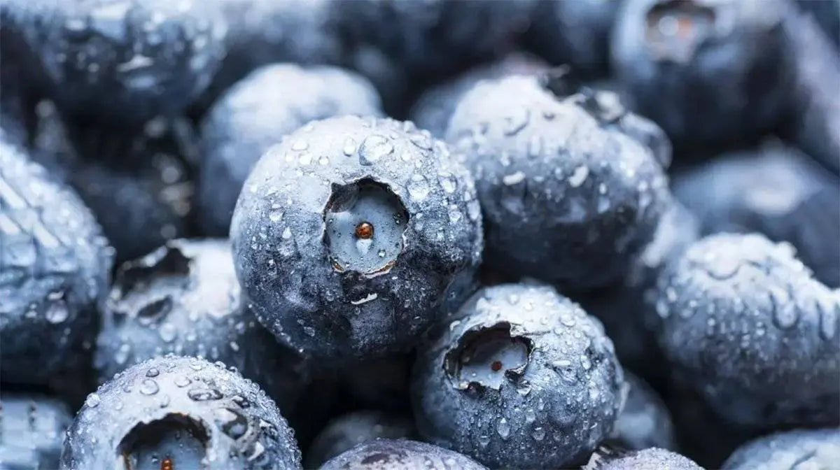 ¿Quieres una piel saludable y radiante? Asegúrate de comer estos alimentos